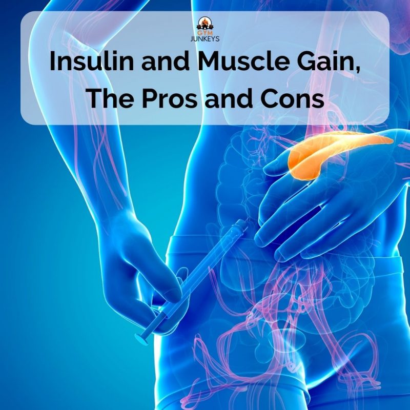 why do bodybuilders take insulin
